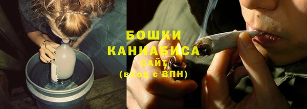 винт Майский