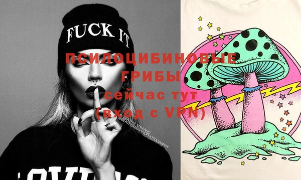 apvp Бежецк