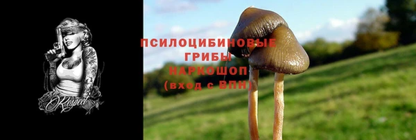 винт Майский