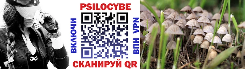 где купить наркоту  Отрадное  ссылка на мегу маркетплейс  Псилоцибиновые грибы мухоморы 